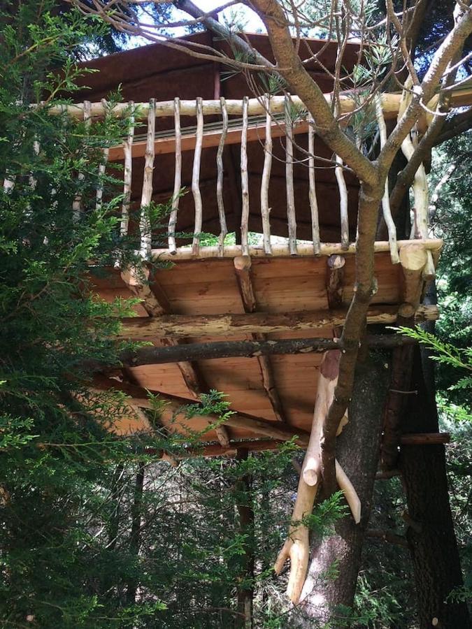 Aughavannagh Yurt Glamping Aughrim Extérieur photo