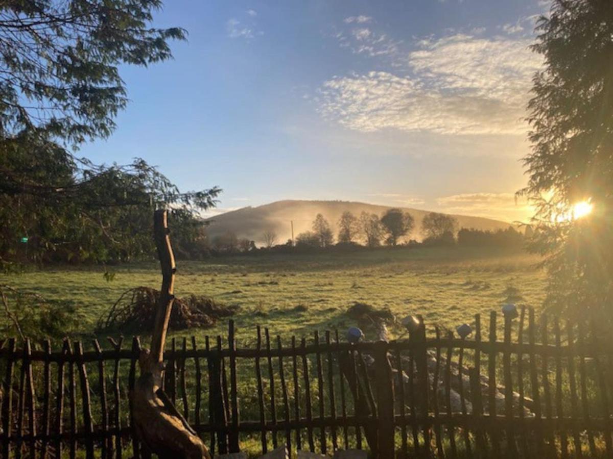 Aughavannagh Yurt Glamping Aughrim Extérieur photo